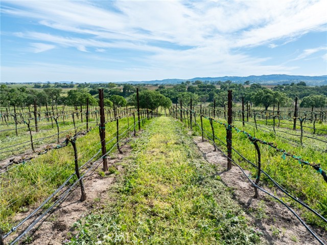 Detail Gallery Image 22 of 31 For 4647 Buena Vista Dr, Paso Robles,  CA 93446 - 2 Beds | 1 Baths