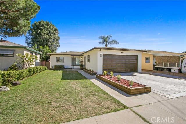 Front Image Thumbnail for CRDW25244721