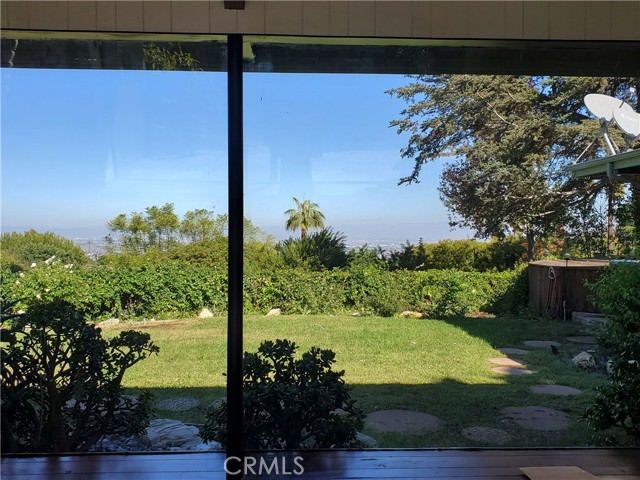 Living room windows facing back yard