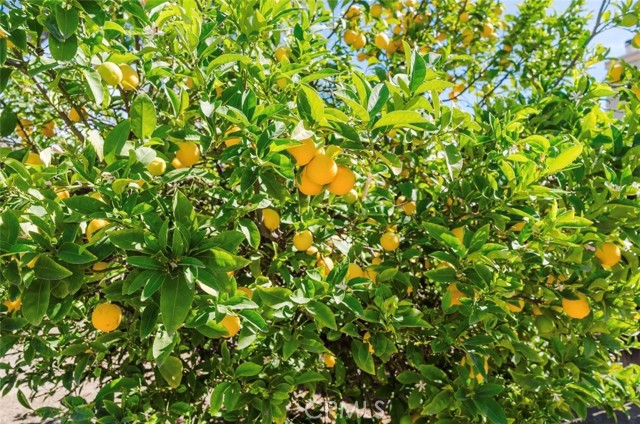 Detail Gallery Image 30 of 30 For 24670 Moonlight, Moreno Valley,  CA 92551 - 4 Beds | 2/1 Baths