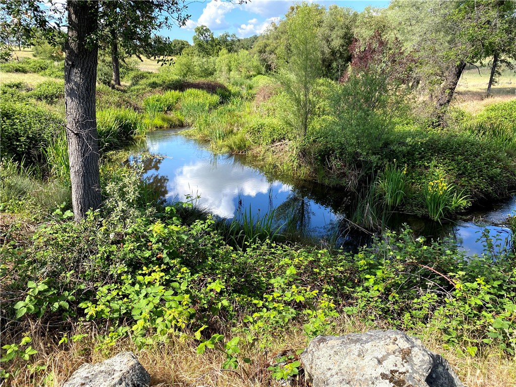 https://media.crmls.org/medias/74ac5017-ad09-48f4-95b6-90b12e41c167.jpg?preset=X-Large
