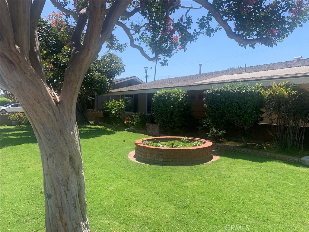 8438 Venus Drive