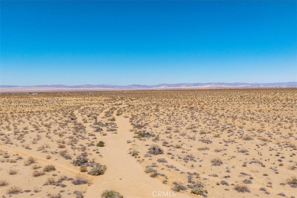 MLS #JT25173166 image #1