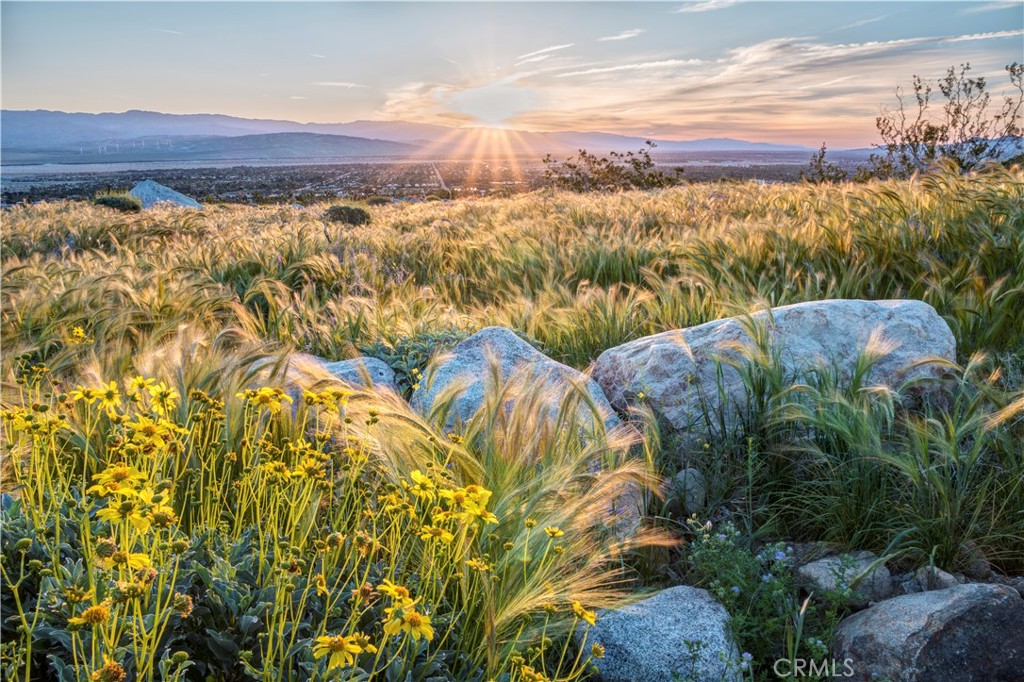 MLS #IG25177250 image #16