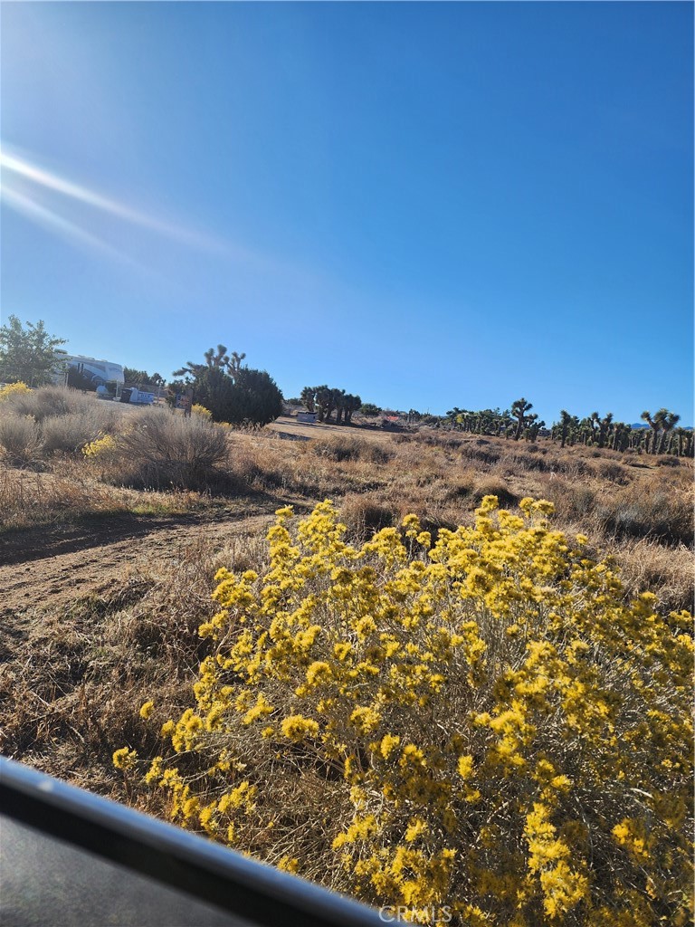 MLS #CV25255822 image #30