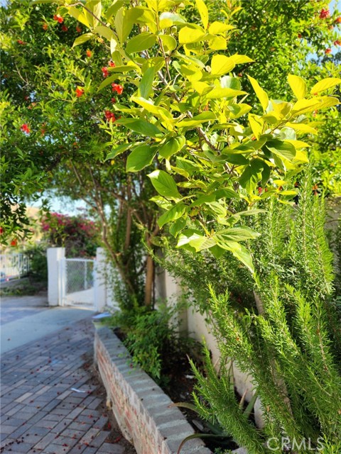4297 Moonstone Drive, Los Angeles CA: https://media.crmls.org/medias/74c64321-5dc0-4a9a-ad38-98c724a745b7.jpg