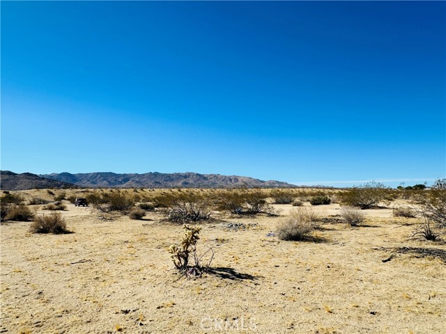 Detail Gallery Image 3 of 9 For 5 Border Ave, Joshua Tree,  CA 92252 - – Beds | – Baths