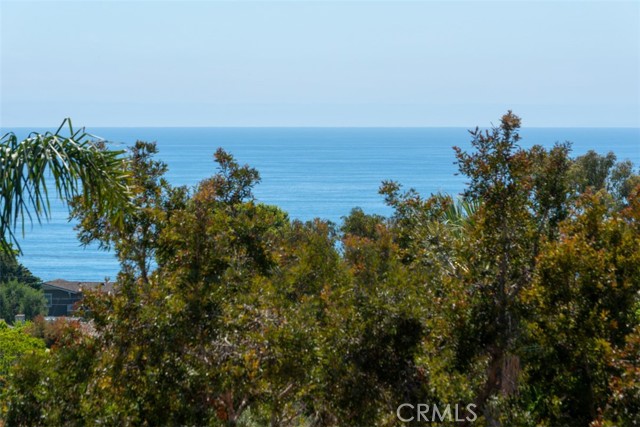 View from living room deck