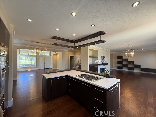 14 Conchito, Rancho Santa Margarita CA: https://media.crmls.org/medias/74d0f2e1-f342-48c8-b665-8e1abdccac22.jpg