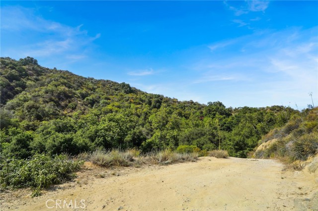 Detail Gallery Image 6 of 20 For 20219 Paradise Ln, Topanga,  CA 90290 - – Beds | – Baths