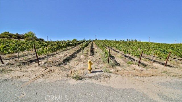 Detail Gallery Image 4 of 39 For 0 Valle Toscana Ct, Temecula,  CA 92592 - – Beds | – Baths