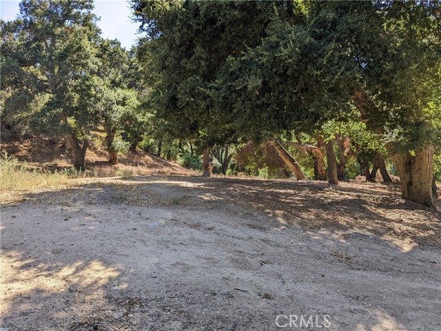 0 San Francisquito Cyn Road, Green Valley, California 91350, ,Land,For Sale,0 San Francisquito Cyn Road,CREV23155759