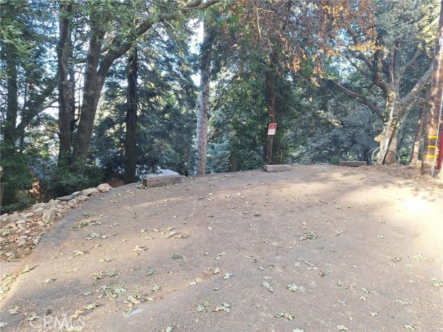 21425 Sawpit Canyon Road, Cedarpines Park, CA 92322