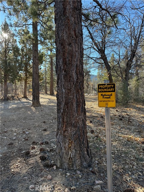 Detail Gallery Image 5 of 6 For 0 San Bernardino, Sugarloaf,  CA 92386 - – Beds | – Baths