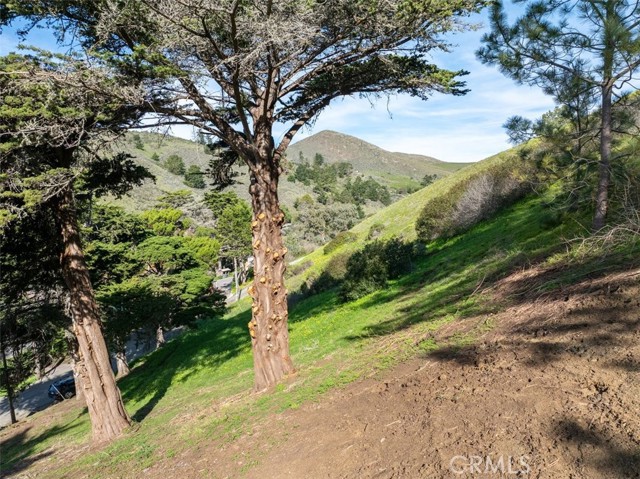 Detail Gallery Image 7 of 21 For 3064 Gilbert, Cayucos,  CA 93430 - – Beds | – Baths