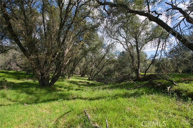 Detail Gallery Image 36 of 45 For 4853 Daffodil, Mariposa,  CA 95338 - 3 Beds | 2 Baths