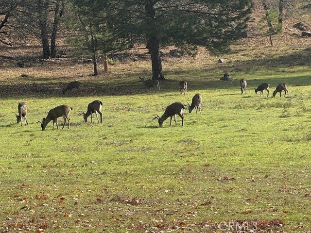 Detail Gallery Image 10 of 61 For 13449 Anderson Rd, Lower Lake,  CA 95457 - 4 Beds | 3 Baths
