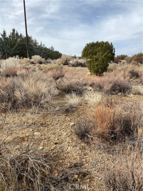 Detail Gallery Image 15 of 15 For 14 E Vac/Z14e Lepage Ranch Rd/Vic,, –,  CA 93543 - – Beds | – Baths