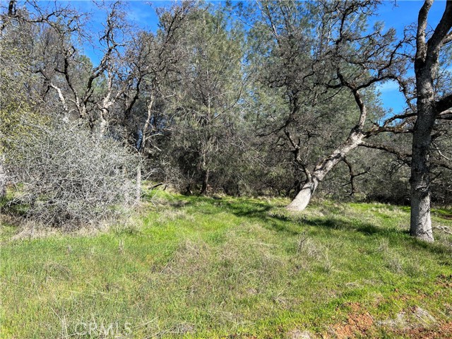 0 Highlands Boulevard, Oroville, California 95965, ,Land,For Sale,0 Highlands Boulevard,CRSN23181045