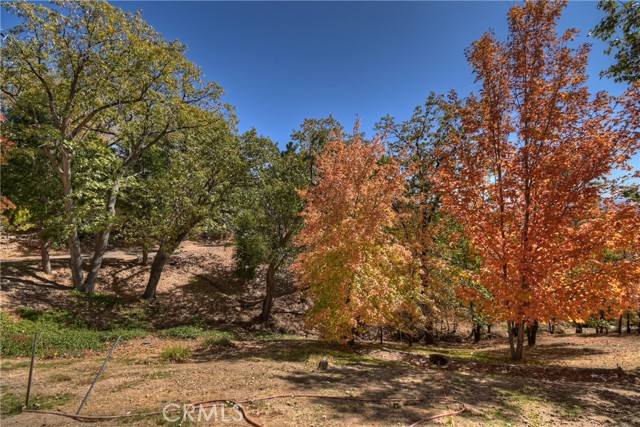 Detail Gallery Image 51 of 75 For 22 Holly Dr, Running Springs,  CA 92382 - 3 Beds | 2/1 Baths