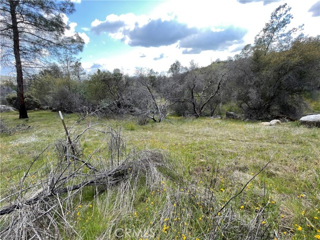 Detail Gallery Image 21 of 24 For 3786 Bronco Hollow Rd, Mariposa,  CA 95338 - – Beds | – Baths