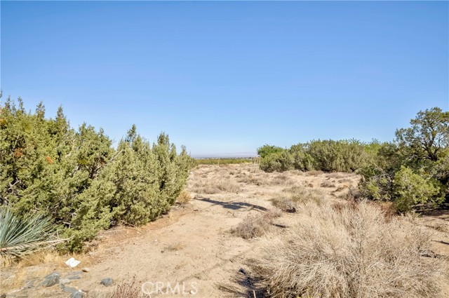 Detail Gallery Image 7 of 11 For 2142 Cbs (Trinity) Ln, Pinon Hills,  CA 92372 - 2 Beds | 2 Baths