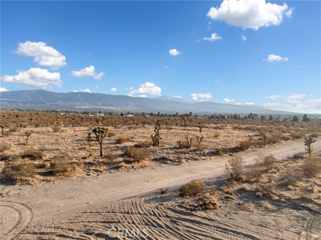 Detail Gallery Image 39 of 39 For 12526 Ponderosa Rd, Pinon Hills,  CA 92372 - 3 Beds | 2 Baths