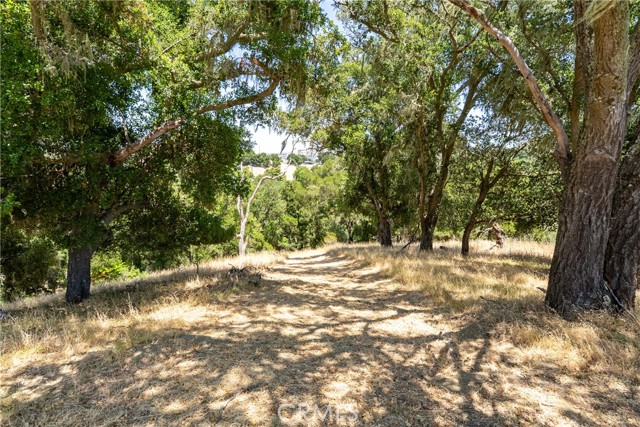 0 Los Gatos Road, Atascadero CA: https://media.crmls.org/medias/75283986-5a3d-41d5-bf4b-631209b00262.jpg
