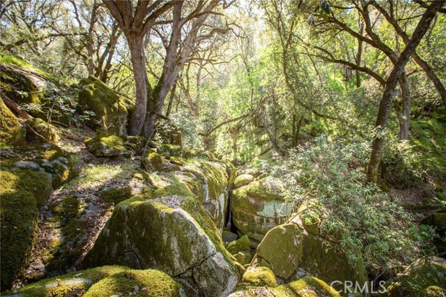 Detail Gallery Image 28 of 74 For 44981 Todd Eymann Rd, Miramonte,  CA 93641 - 1 Beds | 1 Baths