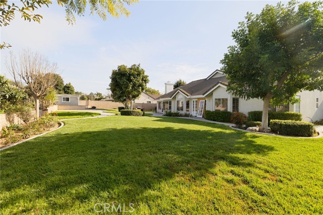 Park-Like Backyard