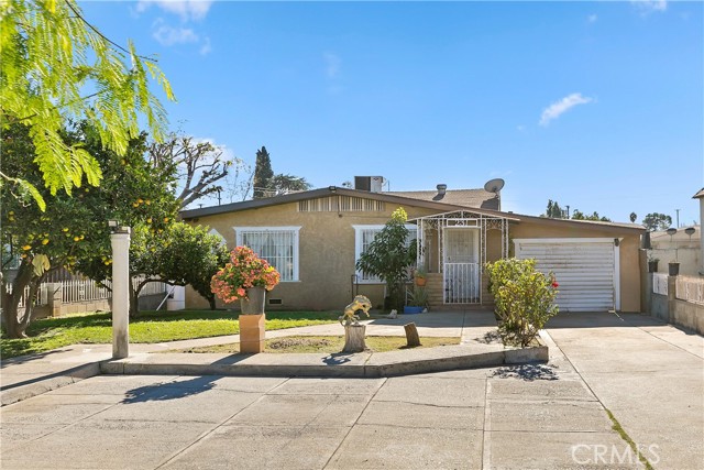 Front Image Thumbnail for CROC25275255