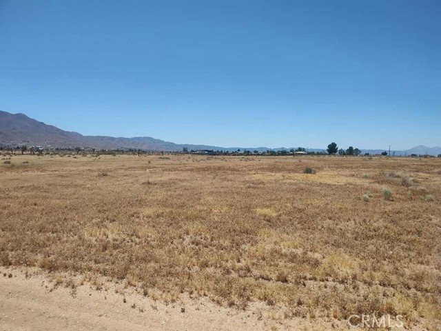 0 Boxwood Street, Apple Valley, California 92308, ,Land,For Sale,0 Boxwood Street,CRSR24052017