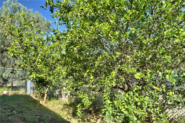 Detail Gallery Image 53 of 74 For 38150 Overview, Temecula,  CA 92592 - 4 Beds | 2 Baths