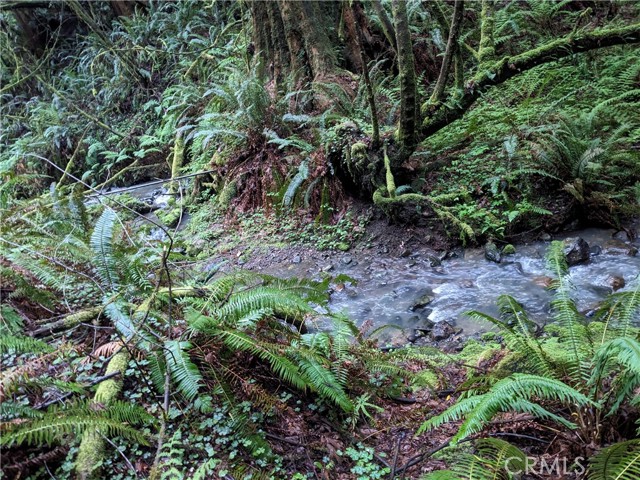 203 Pine Lane, Fortuna CA: https://media.crmls.org/medias/7540d267-11e0-4c48-a85a-0b971b6f87bb.jpg