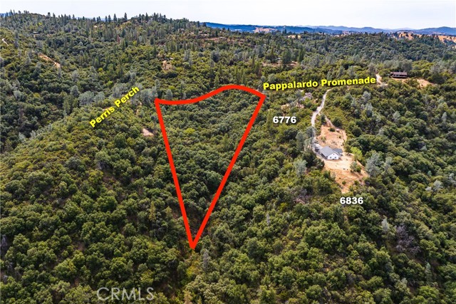 Detail Gallery Image 3 of 9 For 6652 Pappalardo Promenade, Murphys,  CA 95247 - – Beds | – Baths