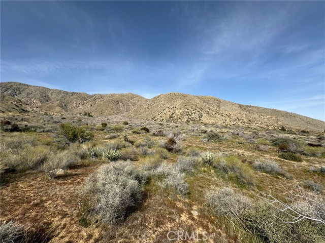 Detail Gallery Image 1 of 4 For 49680 Oskar Ln, Morongo Valley,  CA 92256 - – Beds | – Baths