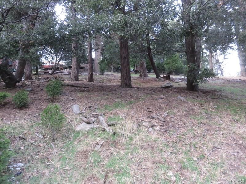 0 Reservoir Road, Cedarpines Park, CA 92322