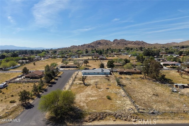 Detail Gallery Image 49 of 53 For 39004 164th, Palmdale,  CA 93591 - 3 Beds | 2 Baths