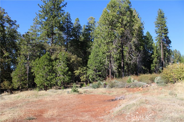 Detail Gallery Image 9 of 17 For 13911 Cluster Ct, Magalia,  CA 95954 - – Beds | – Baths