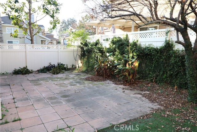 Back Yard 2