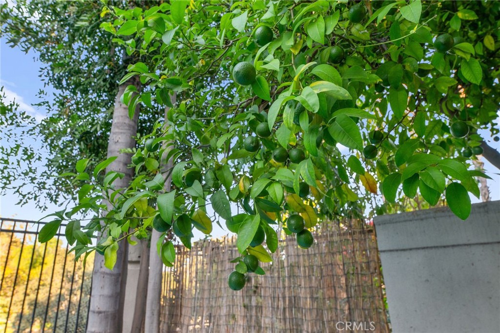 7556a3be 2d93 4b63 B12b 9ffe749b793d