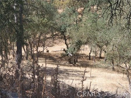 MLS #SC25236278 image #8