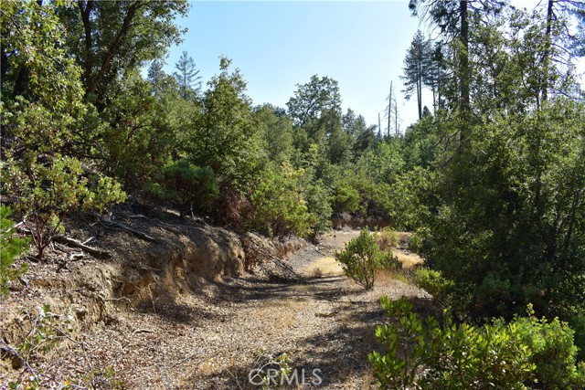 Detail Gallery Image 30 of 48 For 0 Incense Cedar Trl, Groveland,  CA 95321 - – Beds | – Baths