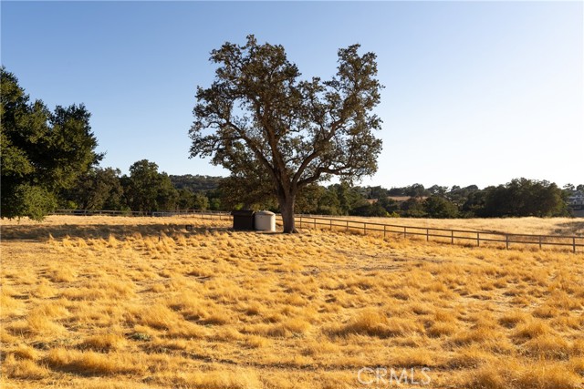 Detail Gallery Image 56 of 65 For 1285 Beaver Creek Ln, Paso Robles,  CA 93446 - 4 Beds | 3 Baths