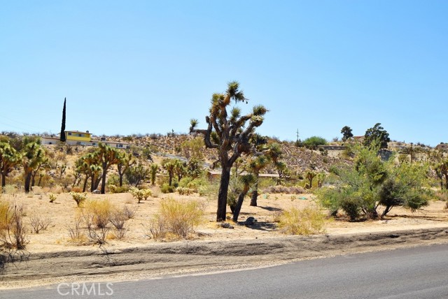 7879 Joshua Lane, Yucca Valley, California 92284, ,Land,For Sale,7879 Joshua Lane,CRJT23181371