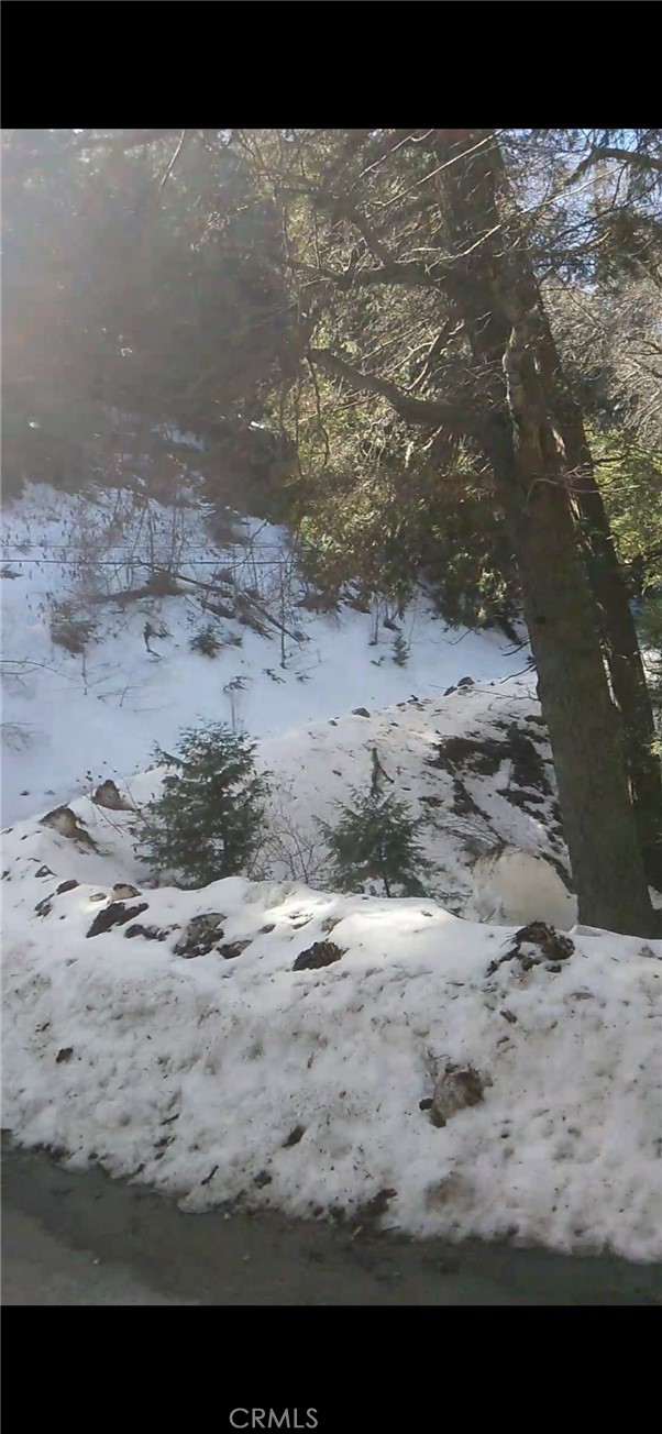 0 Saxon, Crestline CA: https://media.crmls.org/medias/7569accd-c03a-4efa-96da-abb6f20d6ed0.jpg
