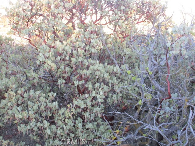 923 Wildlife Trail