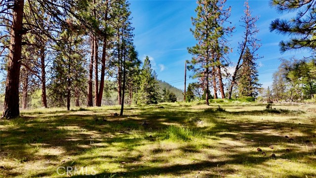 Image 30 of 54 For 0 S Lang Way