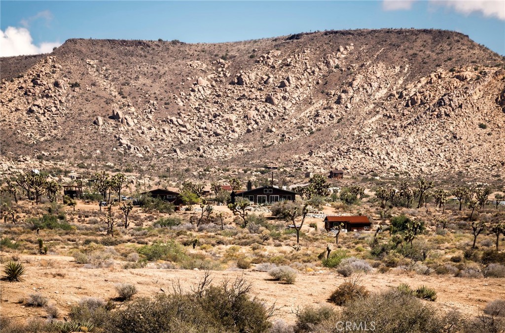 MLS #JT25252986 image #5