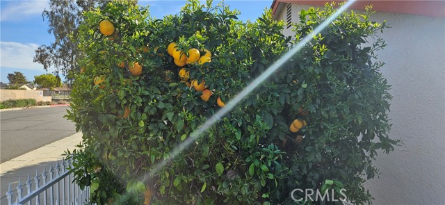 Detail Gallery Image 23 of 26 For 2431 El Rancho Cir, Hemet,  CA 92545 - 2 Beds | 2 Baths